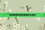 农村信用社贷款利息怎么查找