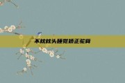 不枕枕头睡觉矫正驼背
