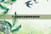 个人征信可以查所有贷款吗