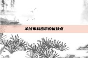 羊绒布料窗帘的优缺点