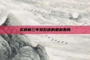 买房前三年贷款还的是利息吗