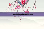 上海抵押贷款逾期怎么办