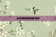 在还贷款的房能卖吗