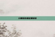 分期贷款和定期贷款