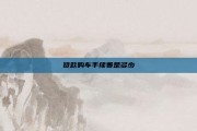 贷款购车手续费是多少