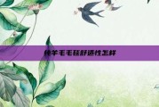 纯羊毛毛毯舒适性怎样