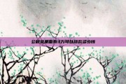 公积金里面有3万可以贷款多少钱