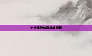 十大品牌加盟抽油烟机