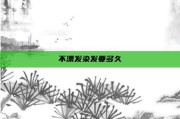 不漂发染发要多久