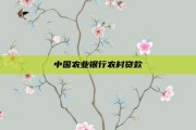 中国农业银行农村贷款