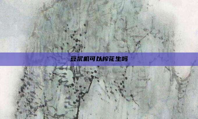 豆浆机可以榨花生吗