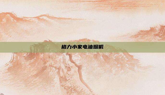 格力小家电油烟机