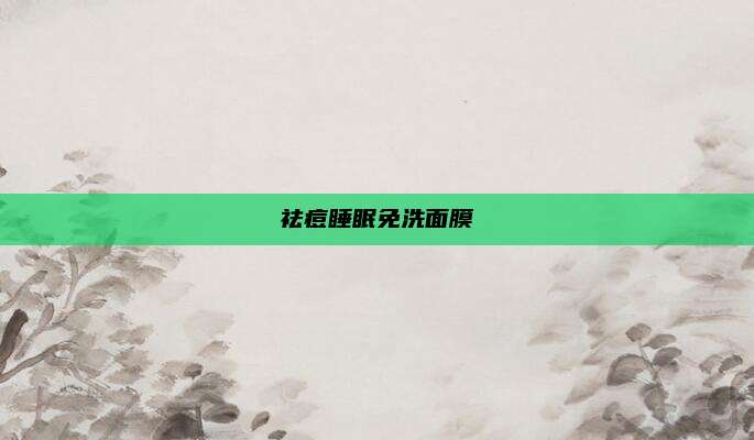 祛痘睡眠免洗面膜