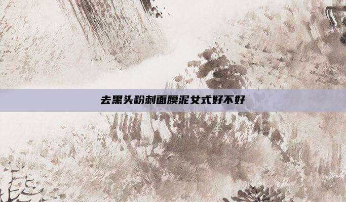 去黑头粉刺面膜泥女式好不好