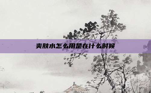 爽肤水怎么用是在什么时候