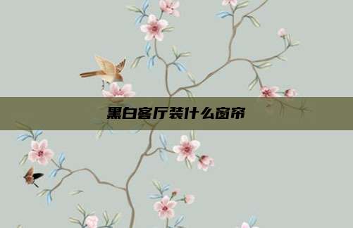 黑白客厅装什么窗帘