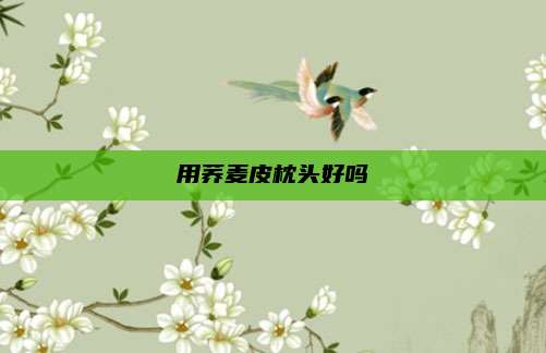 用荞麦皮枕头好吗