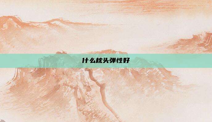 什么枕头弹性好