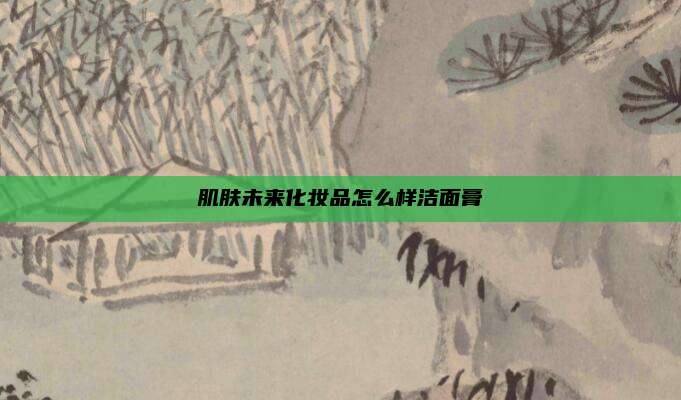 肌肤未来化妆品怎么样洁面膏