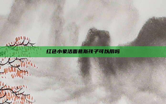 红色小象洁面慕斯孩子可以用吗
