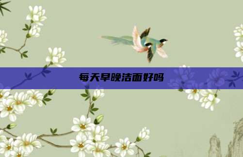 每天早晚洁面好吗