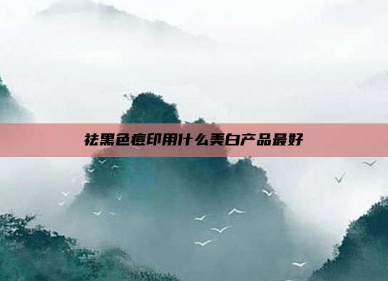 祛黑色痘印用什么美白产品最好