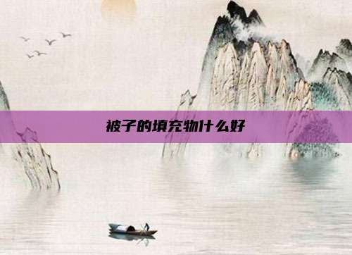 被子的填充物什么好