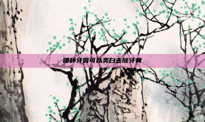 哪种牙膏可以美白去除牙黄