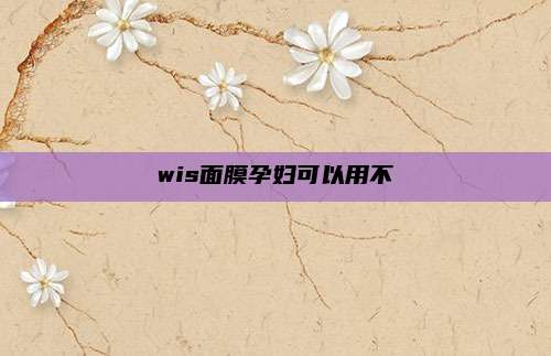 wis面膜孕妇可以用不