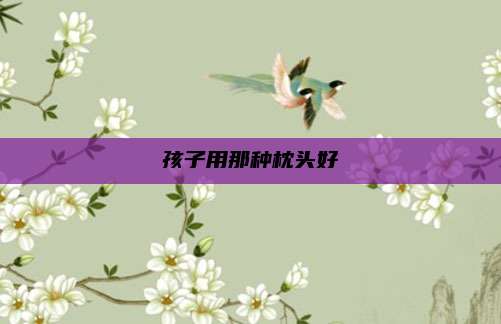 孩子用那种枕头好