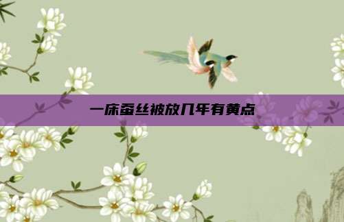 一床蚕丝被放几年有黄点