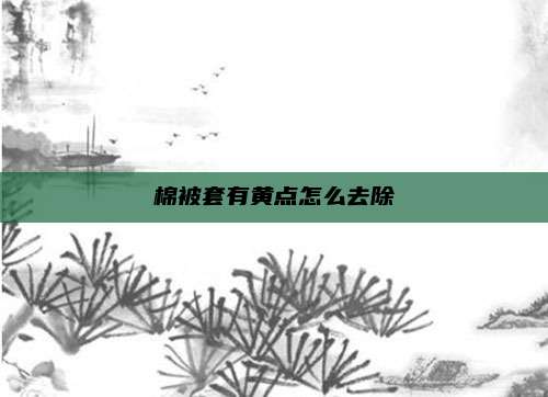 棉被套有黄点怎么去除