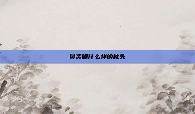 鼻炎睡什么样的枕头