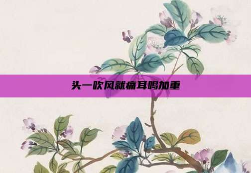 头一吹风就痛耳鸣加重