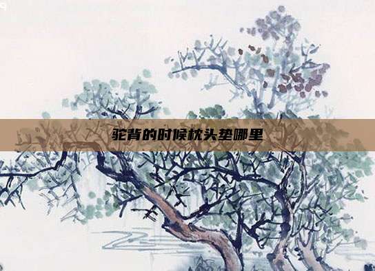 驼背的时候枕头垫哪里