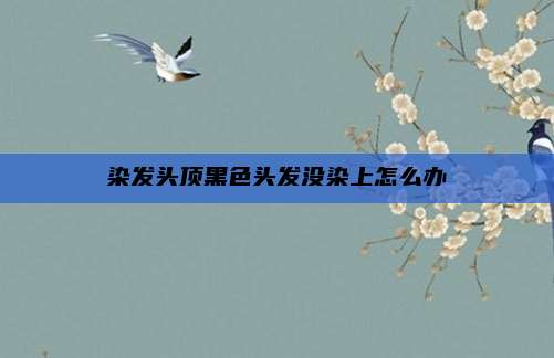 染发头顶黑色头发没染上怎么办
