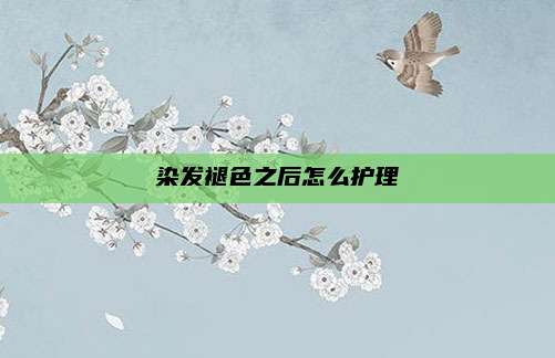 染发褪色之后怎么护理