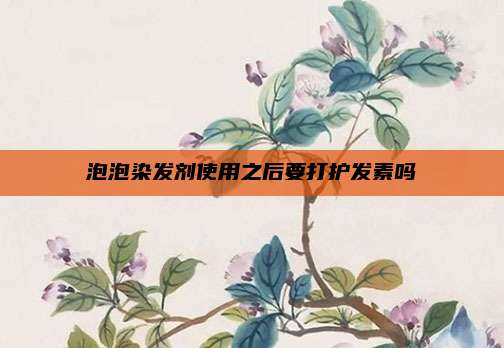 泡泡染发剂使用之后要打护发素吗