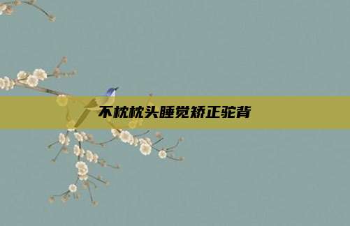 不枕枕头睡觉矫正驼背