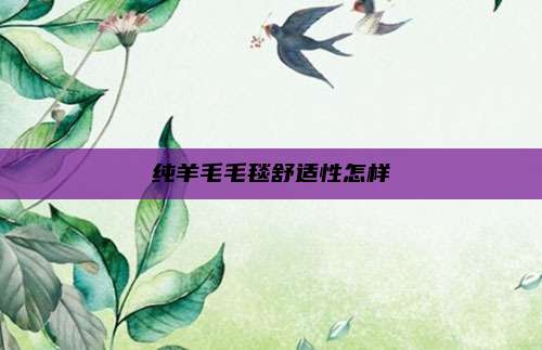 纯羊毛毛毯舒适性怎样