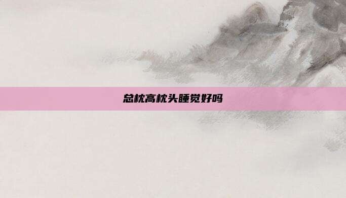总枕高枕头睡觉好吗