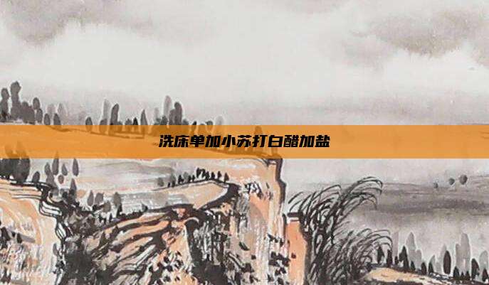 洗床单加小苏打白醋加盐