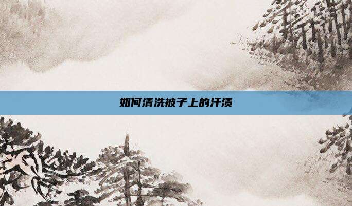 如何清洗被子上的汗渍