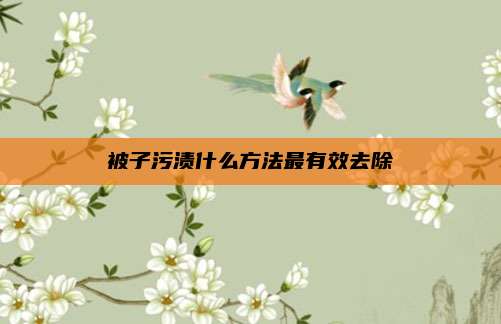 被子污渍什么方法最有效去除