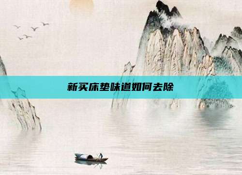 新买床垫味道如何去除