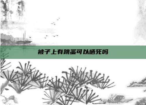 被子上有跳蚤可以晒死吗