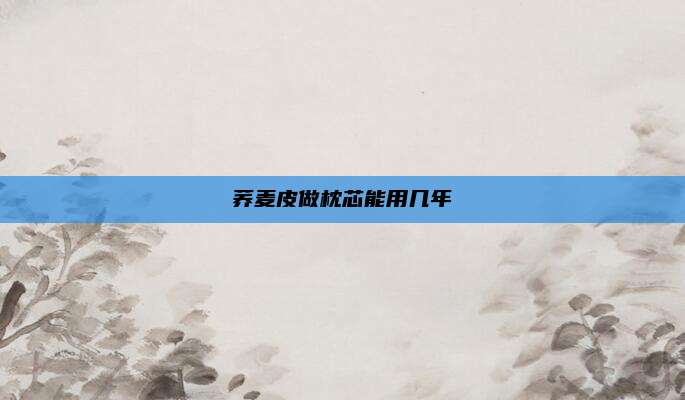 荞麦皮做枕芯能用几年