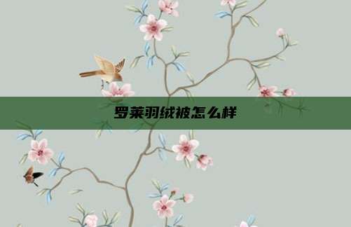 罗莱羽绒被怎么样