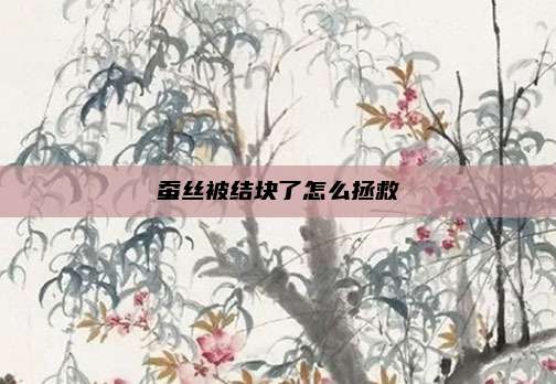 蚕丝被结块了怎么拯救