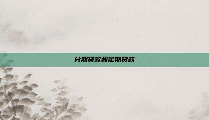分期贷款和定期贷款